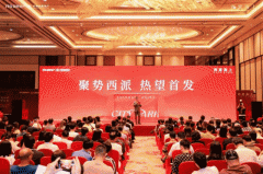 大大都项目标